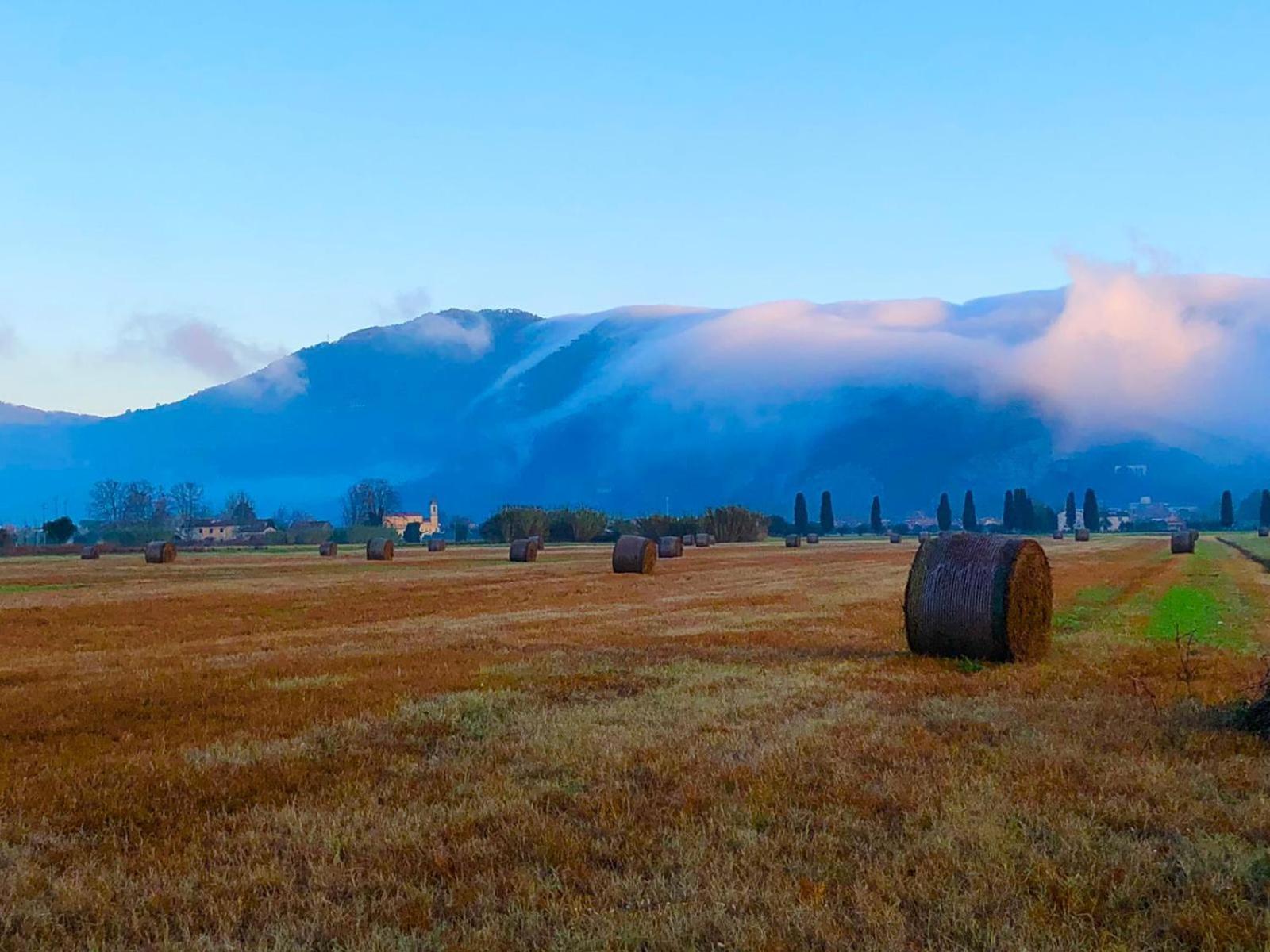 Intero Alloggio Campagna Lucca 卡潘诺里 外观 照片